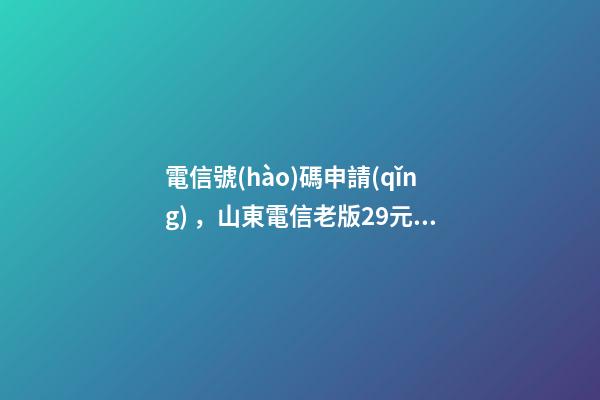 電信號(hào)碼申請(qǐng)，山東電信老版29元100g星卡【附神秘代碼】-第1張-觀點(diǎn)-玄機(jī)派